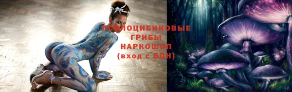 Альфа ПВП Аркадак