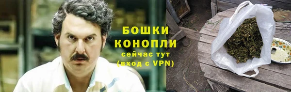 Альфа ПВП Аркадак