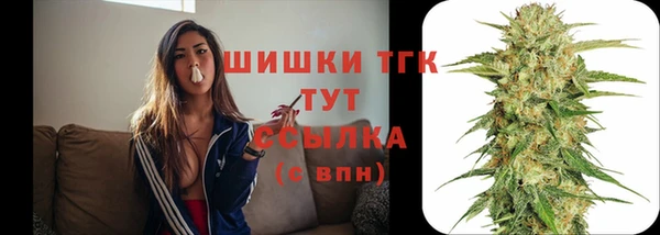 Альфа ПВП Аркадак
