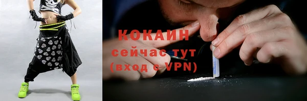 стафф Арсеньев