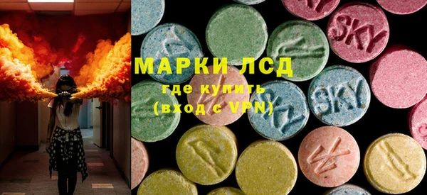 стафф Арсеньев