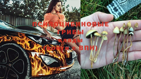 Альфа ПВП Аркадак