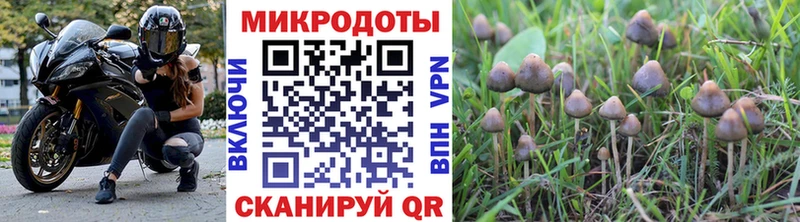 Галлюциногенные грибы ЛСД  Рыльск 